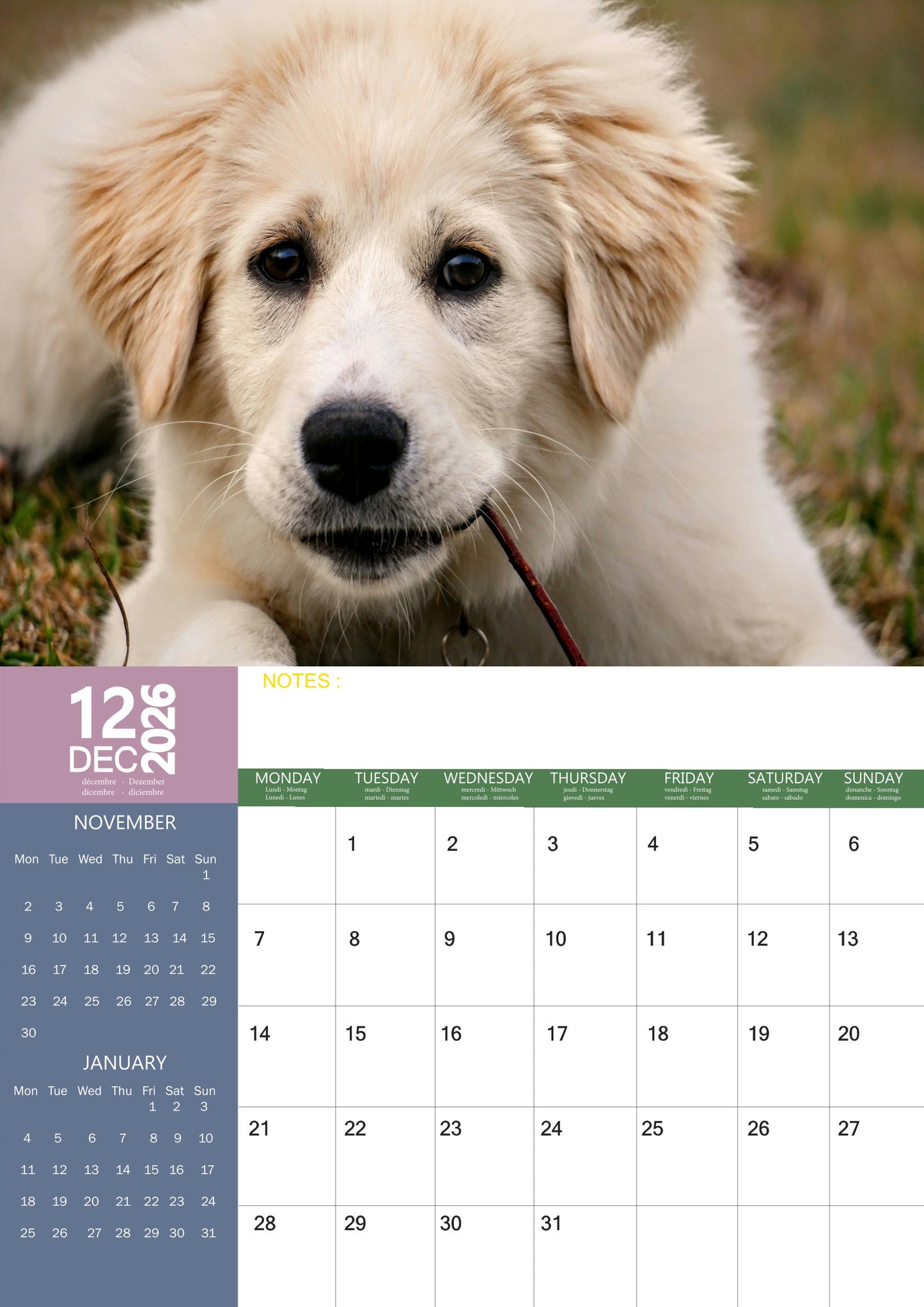 Great Pyrenees Dog Calendar 2026 – M-PRA Range