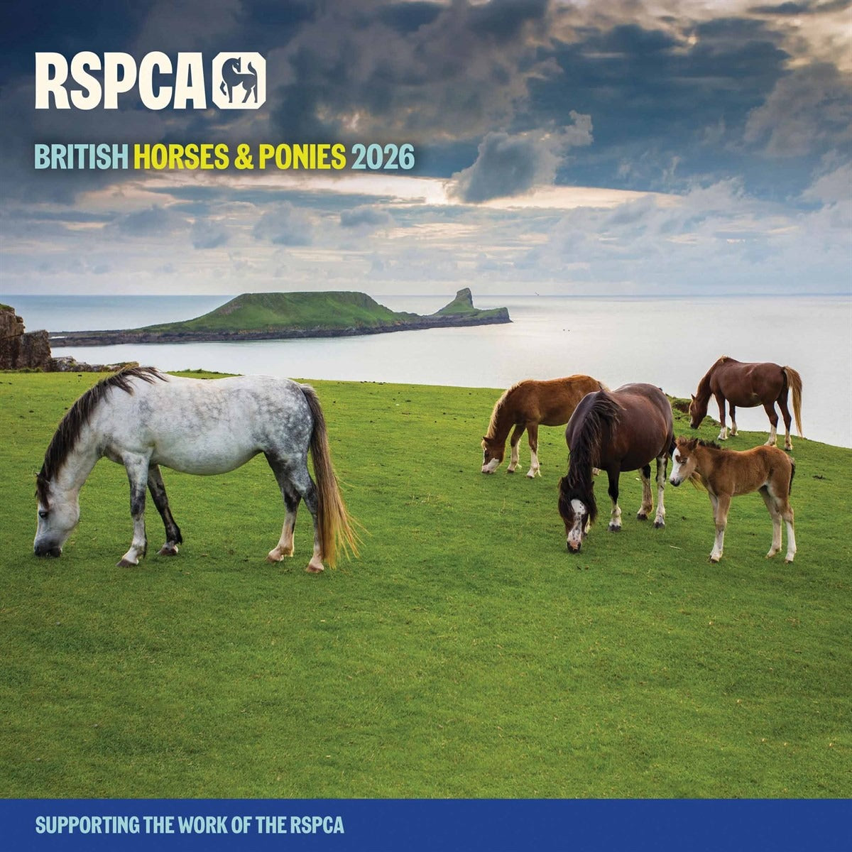 RSPCA British Horses & Ponies Square Calendar 2026 – Celebrate Equine Beauty All Year Long