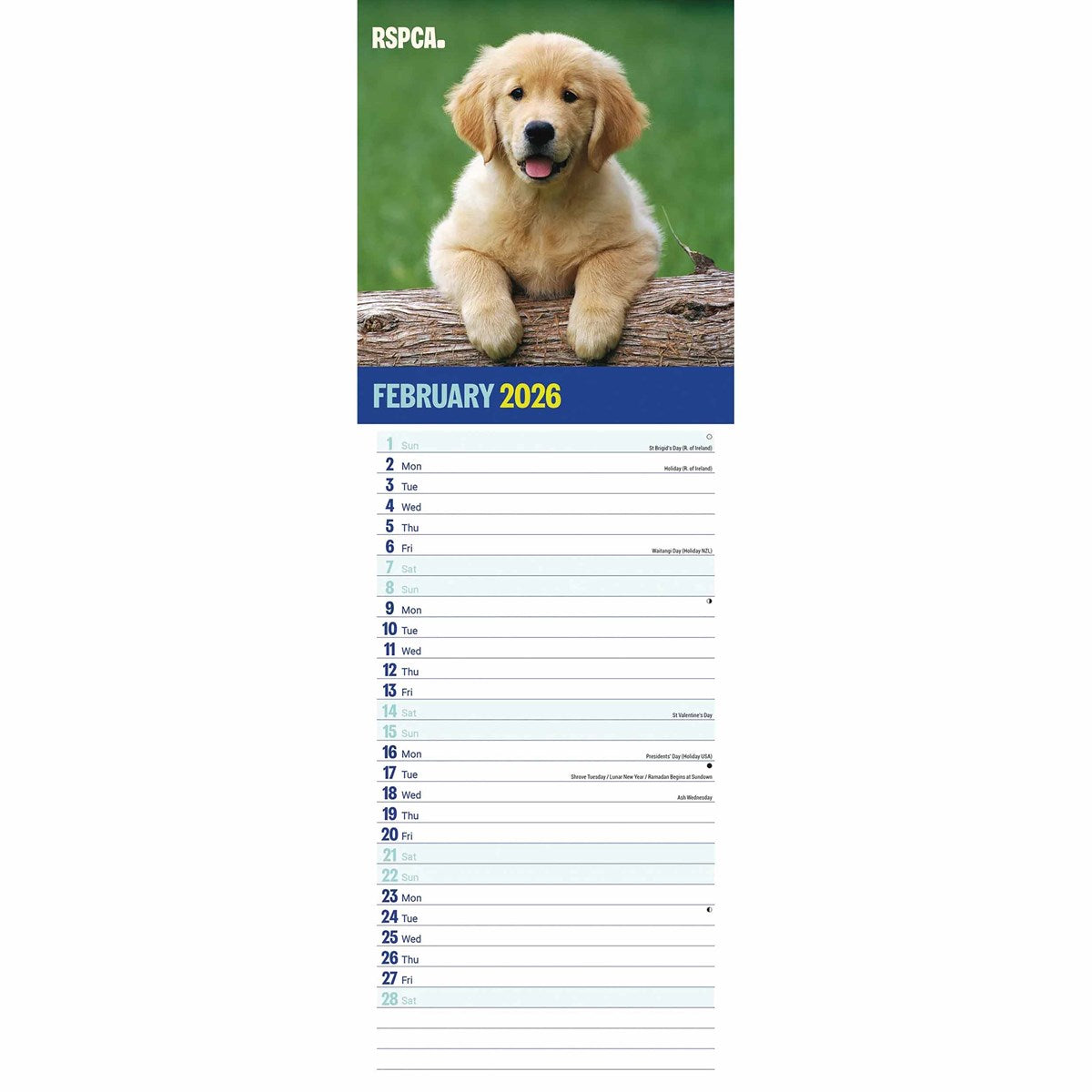 RSPCA I Love Puppies Slim Calendar 2026 – A Year of Puppy Love
