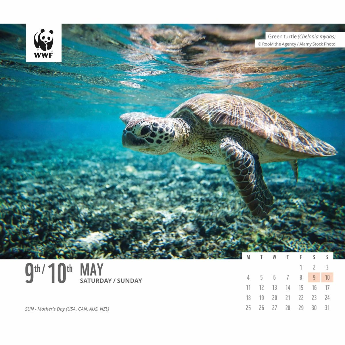 WWF Natural World Desk Calendar 2026 – Nature’s Beauty, Day by Day