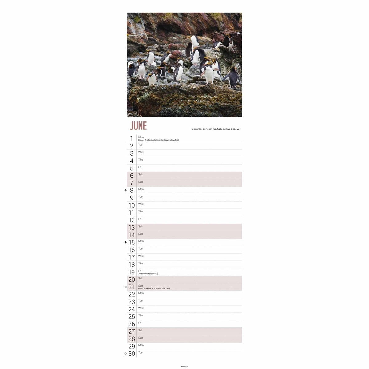 WWF Penguin Slim Calendar 2026 – Stunning Wildlife Photography