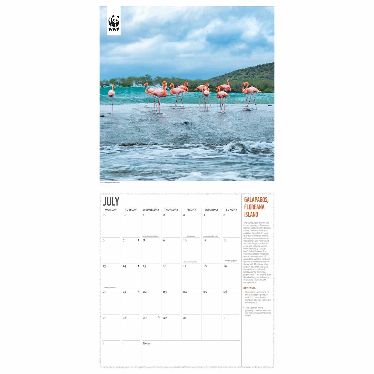 WWF Fragile Earth Square Calendar 2026 – A Tribute to Nature’s Beauty