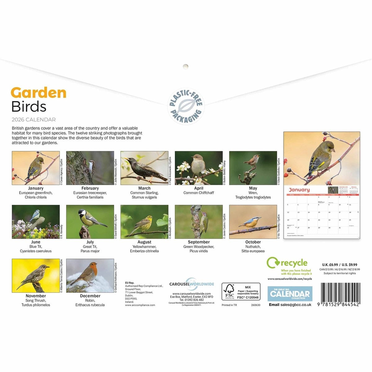 Garden Birds A4 Calendar 2026 – A Year of Feathered Friends