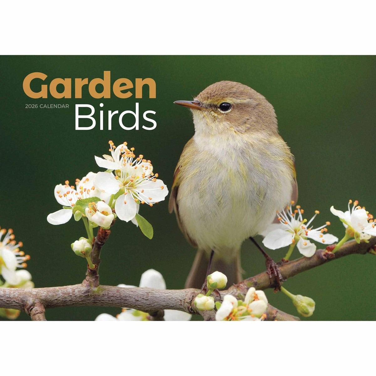 Garden Birds A4 Calendar 2026 – A Year of Feathered Friends
