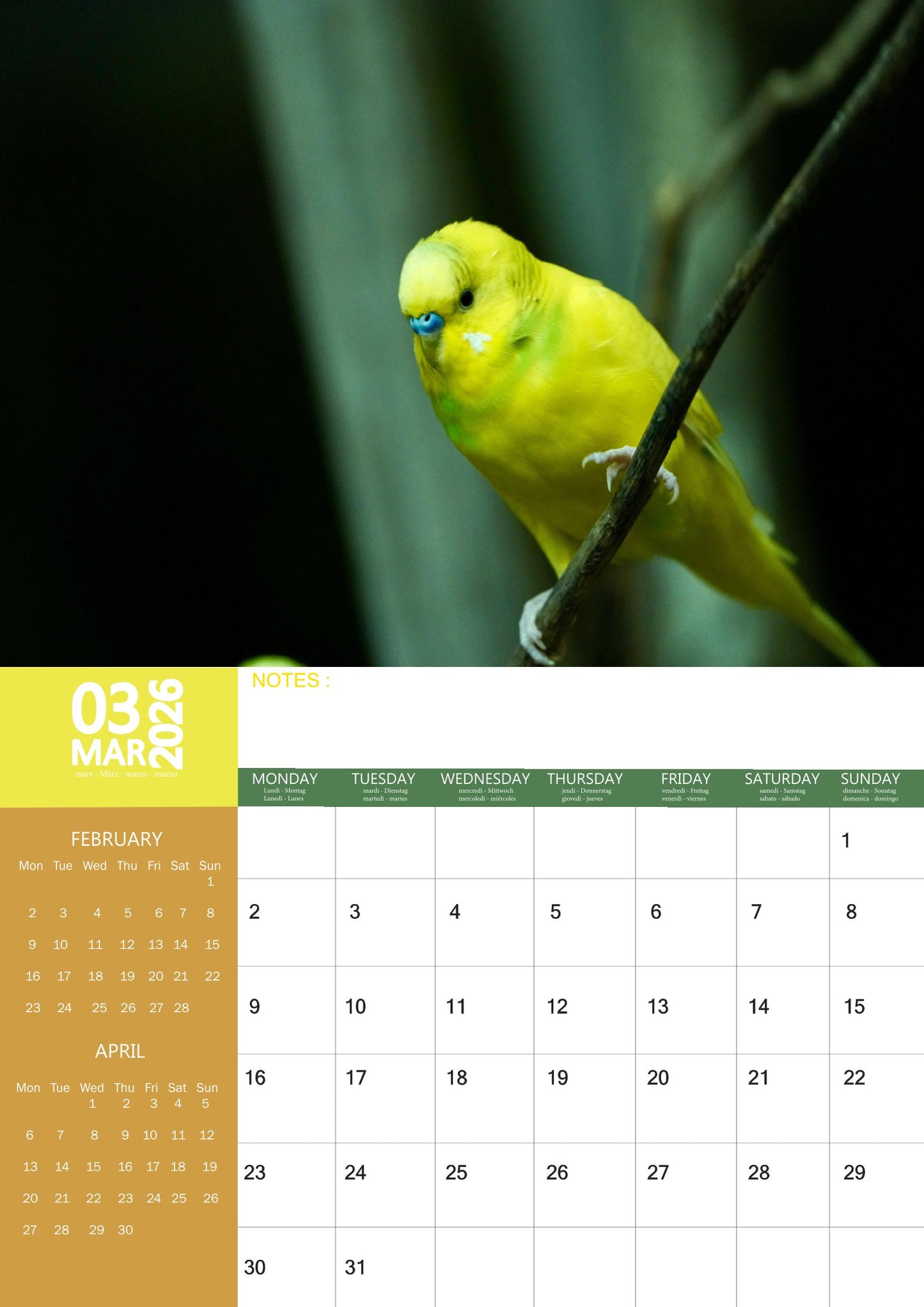 Budgerigar Calendar 2026 – M-PRA Range