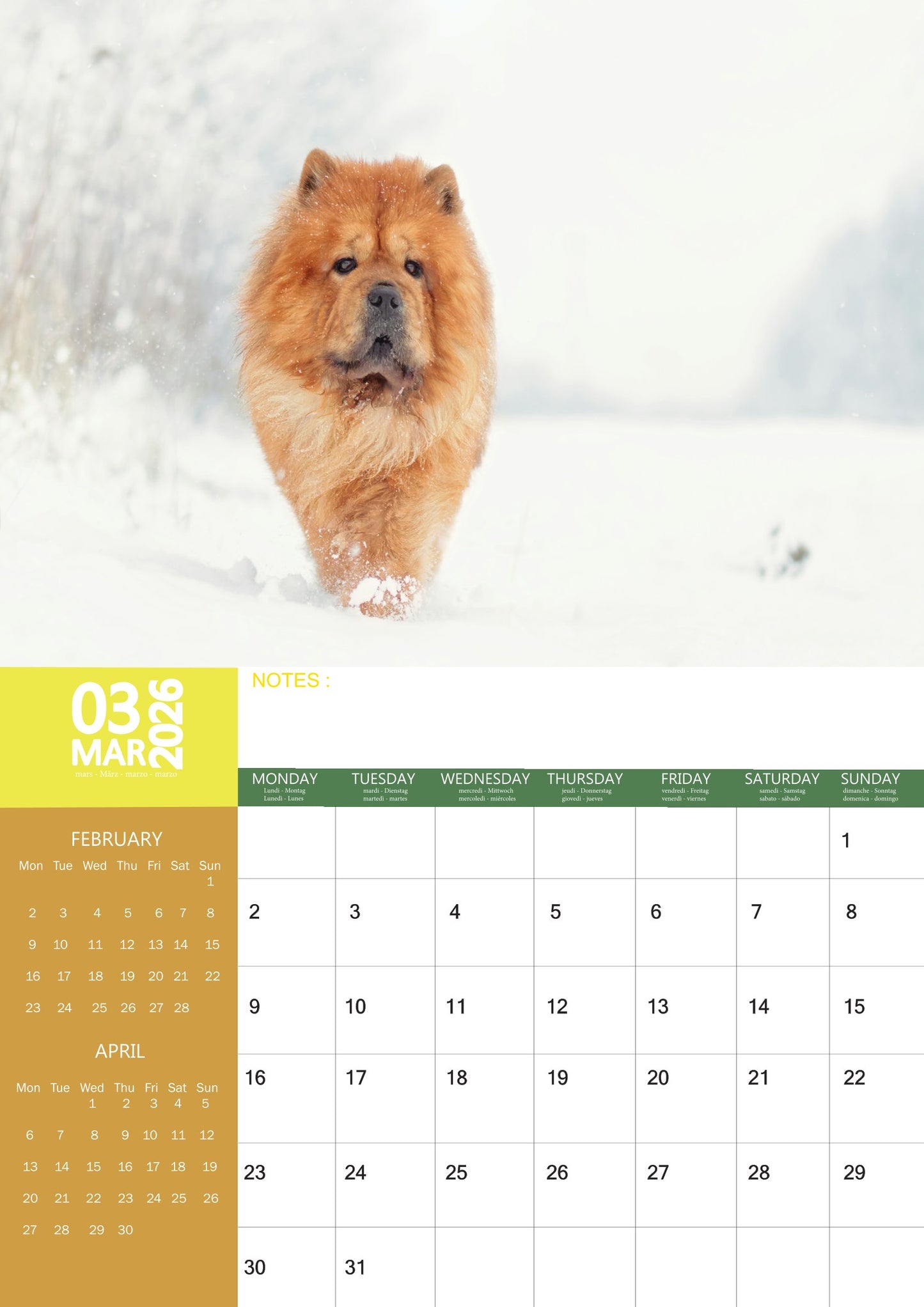 Chow Chow Dog Calendar 2026 – M-PRA Range