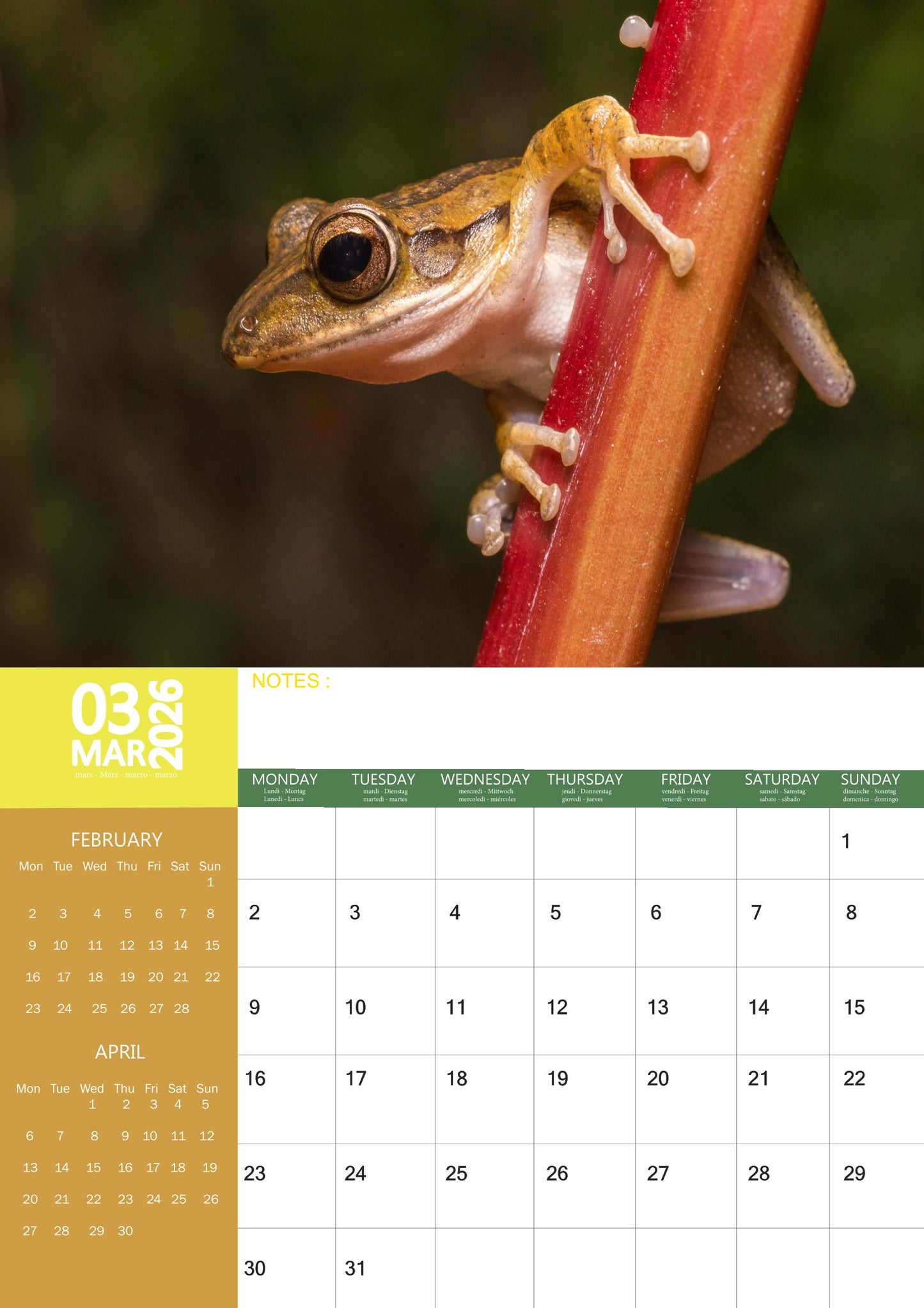 Frog Calendar 2026 – M-PRA Range