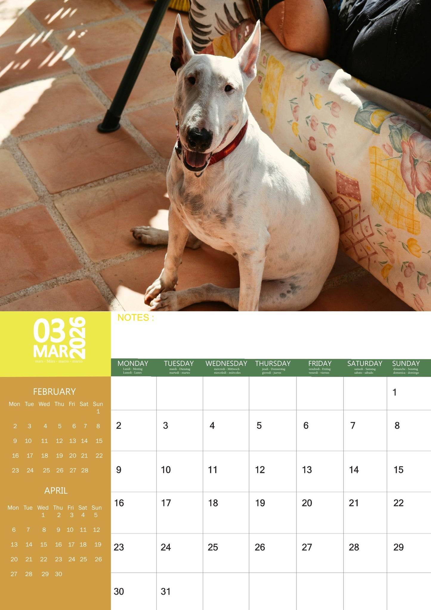 Bull Terrier Dog Calendar 2026 – M-PRA Range