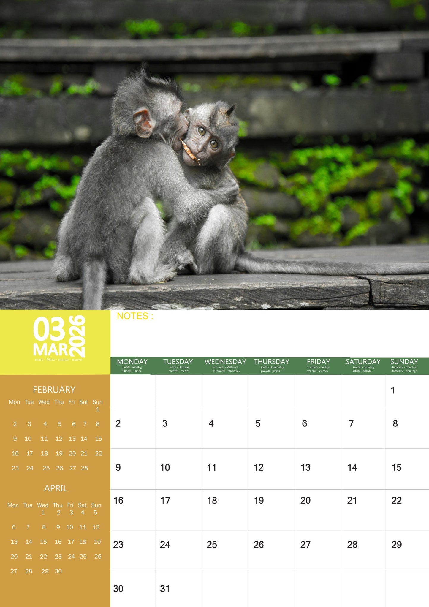 Monkeys Calendar 2026 – M-PRA Range