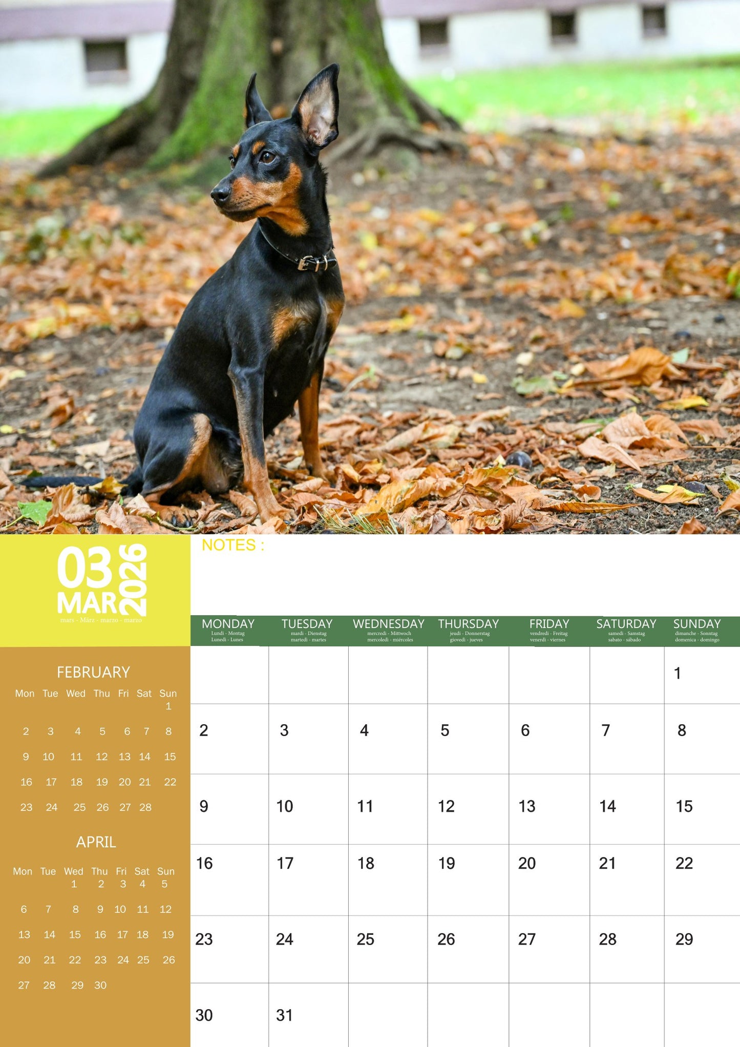 Miniature Pinscher Dog Calendar 2026 – M-PRA Range