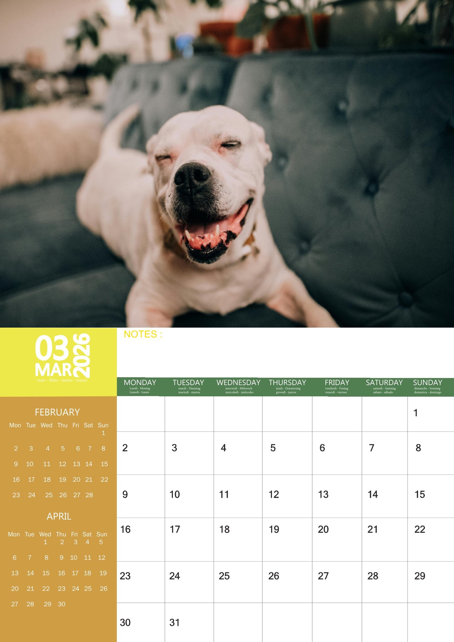 Staffordshire Bull Terrier Dog Calendar 2026 – M-PRA Range