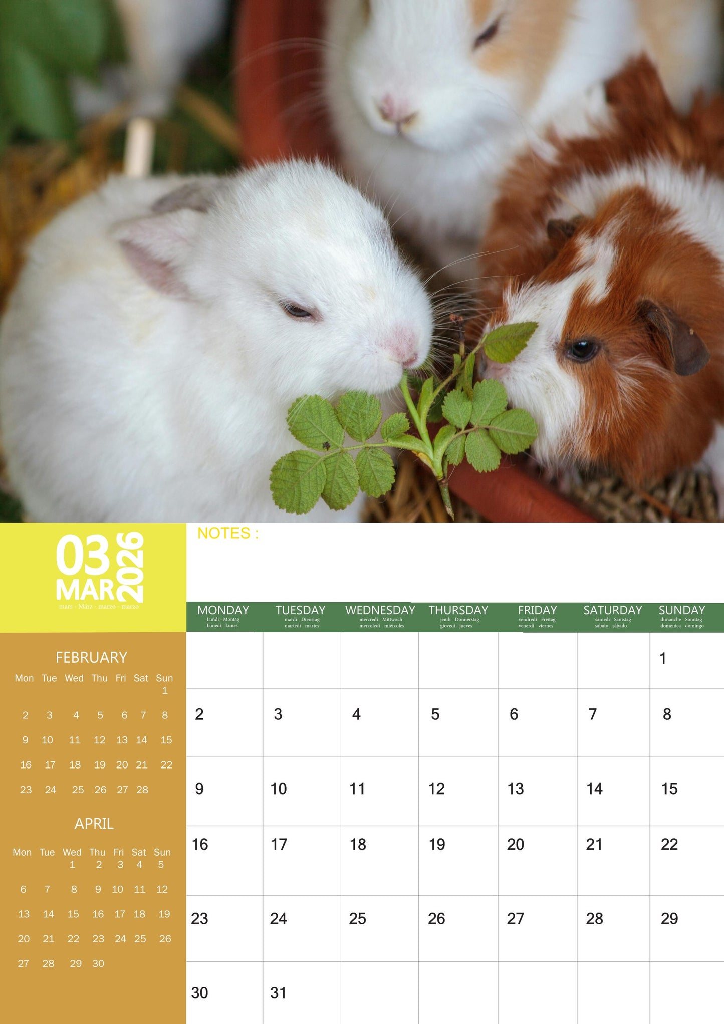 Rabbit Calendar 2026 – M-PRA Range