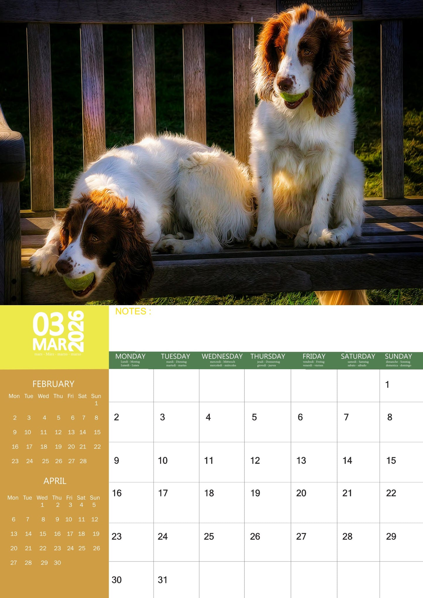 English Springer Spaniel Dog Calendar 2026 – M-PRA Range