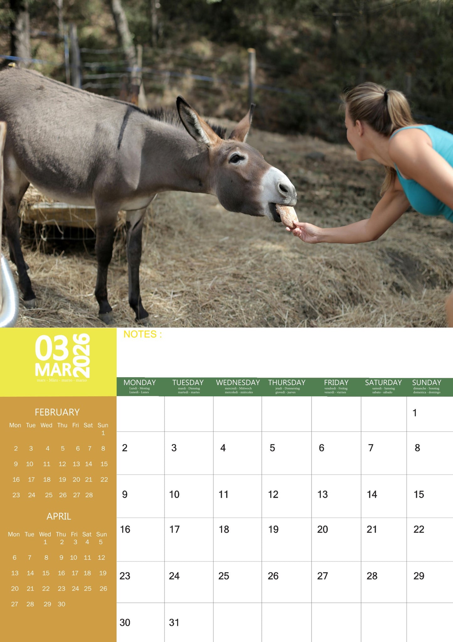 Donkey Calendar 2026 – M-PRA Range