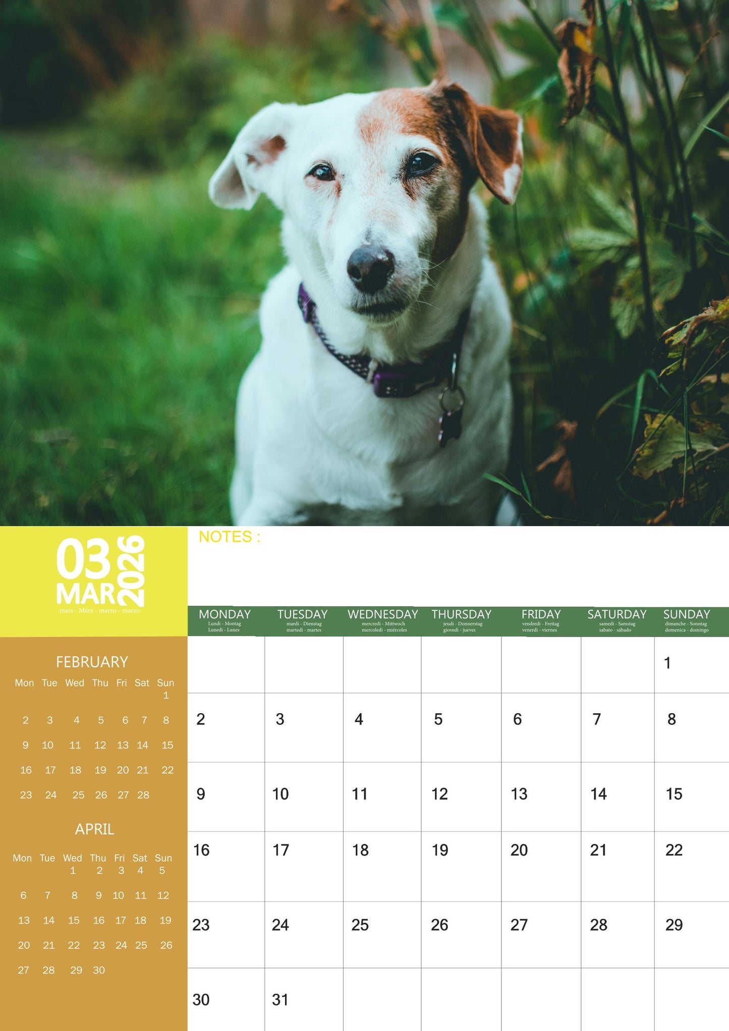 Jack Russell Dog Calendar 2026 – M-PRA Range