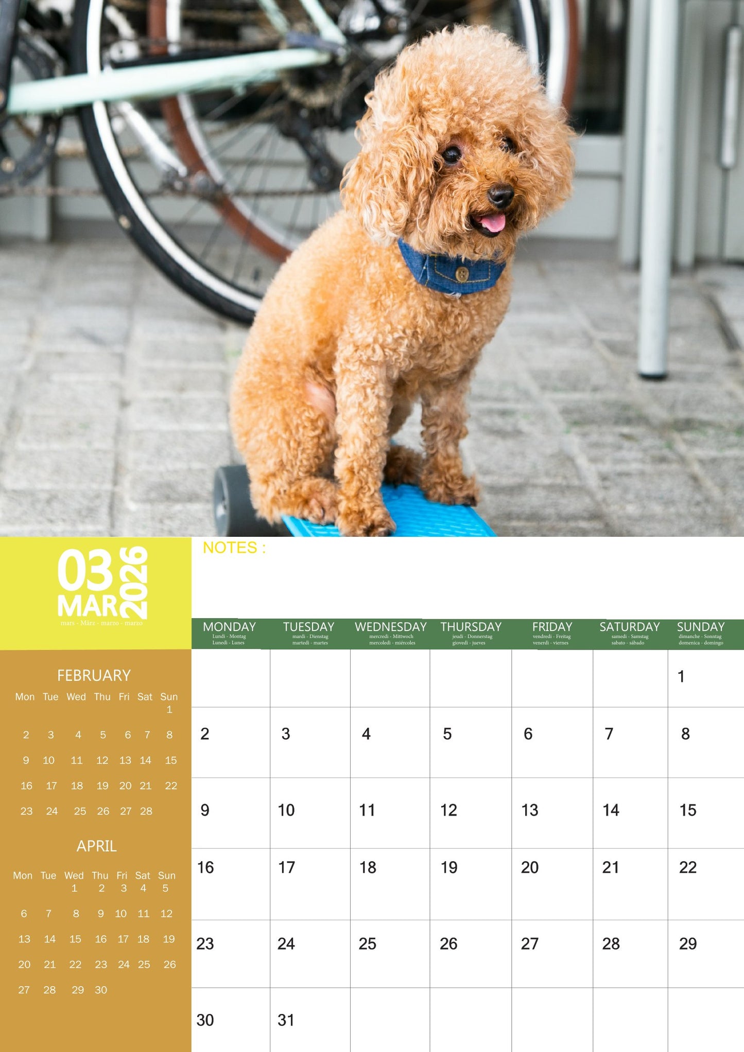 Poodle Dog Calendar 2026 – M-PRA Range