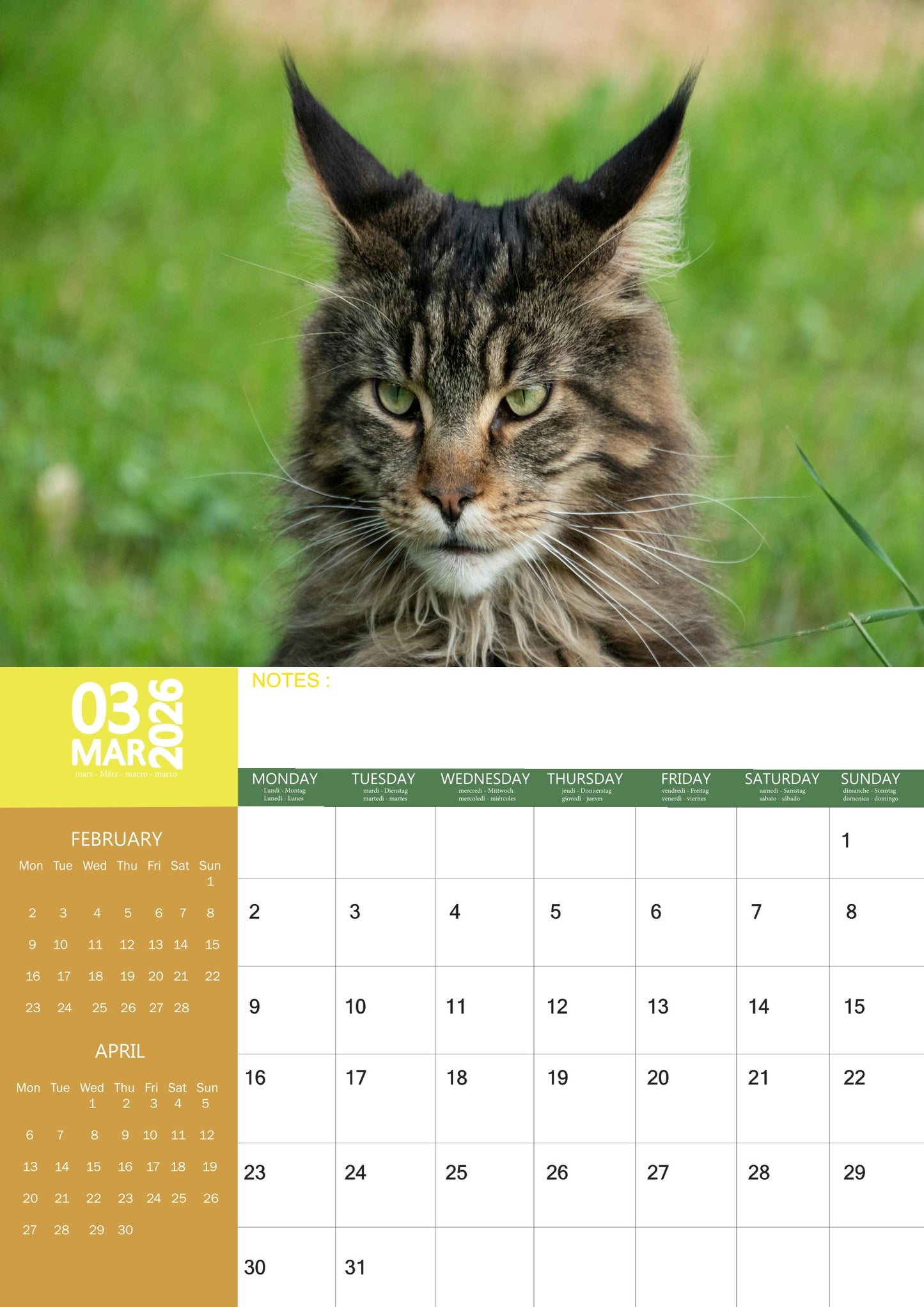 Maine Coon Cat Calendar 2026 – M-PRA Range