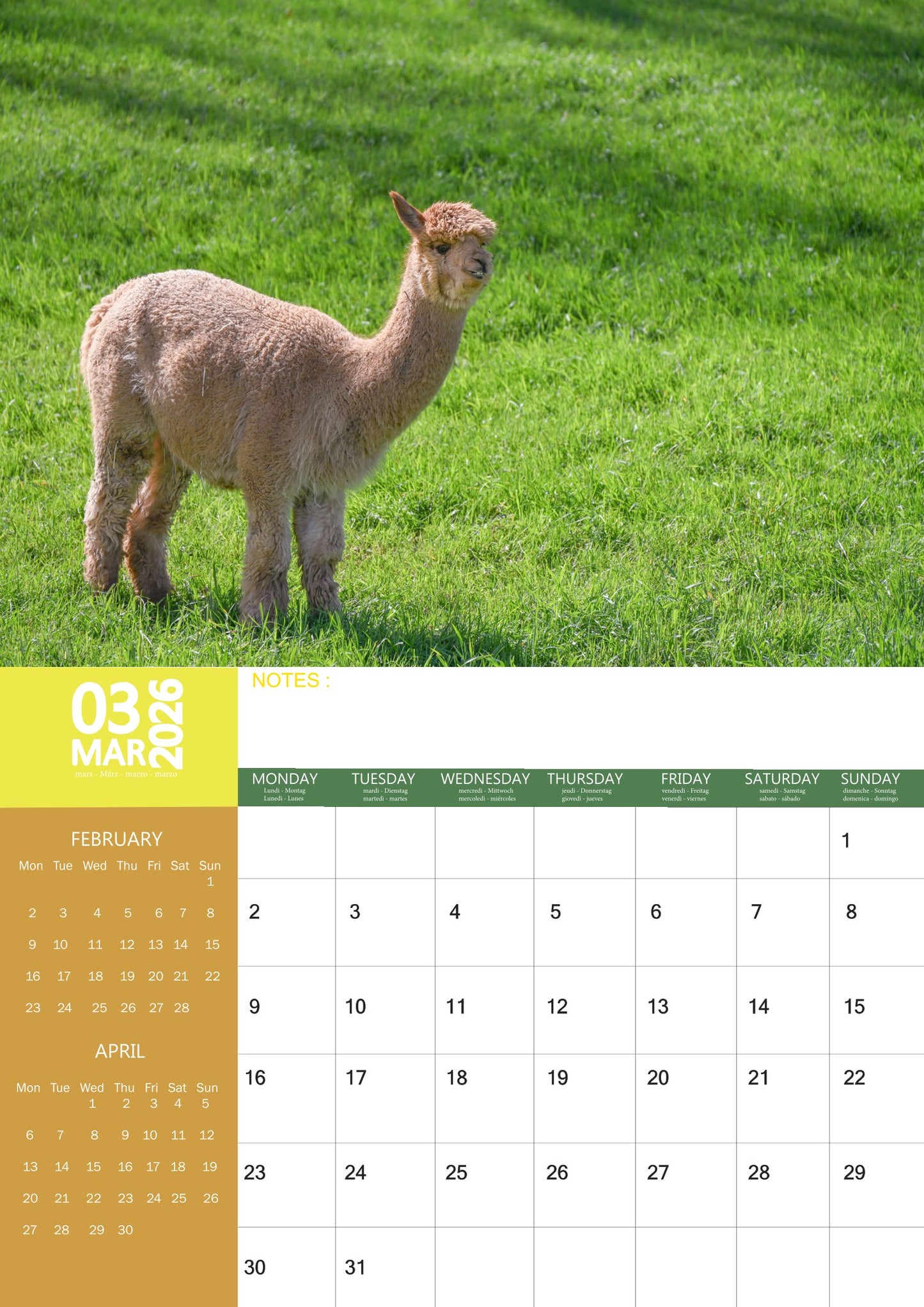 Alpacas Calendar 2026 – M-PRA Range