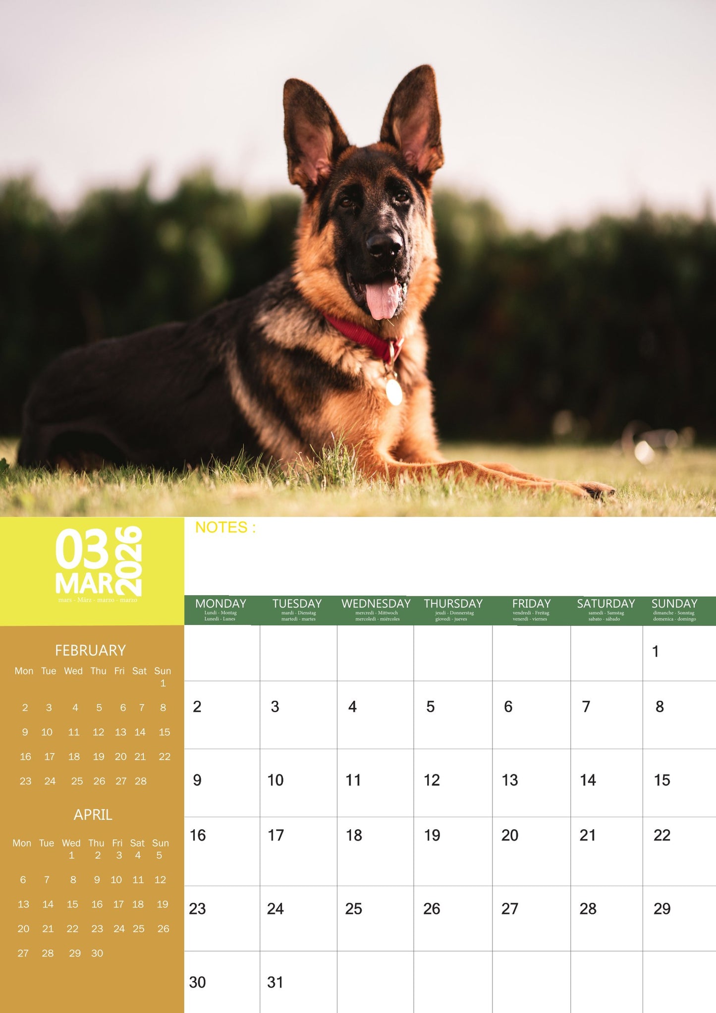 German Shepherd Dog Calendar 2026 – M-PRA Range
