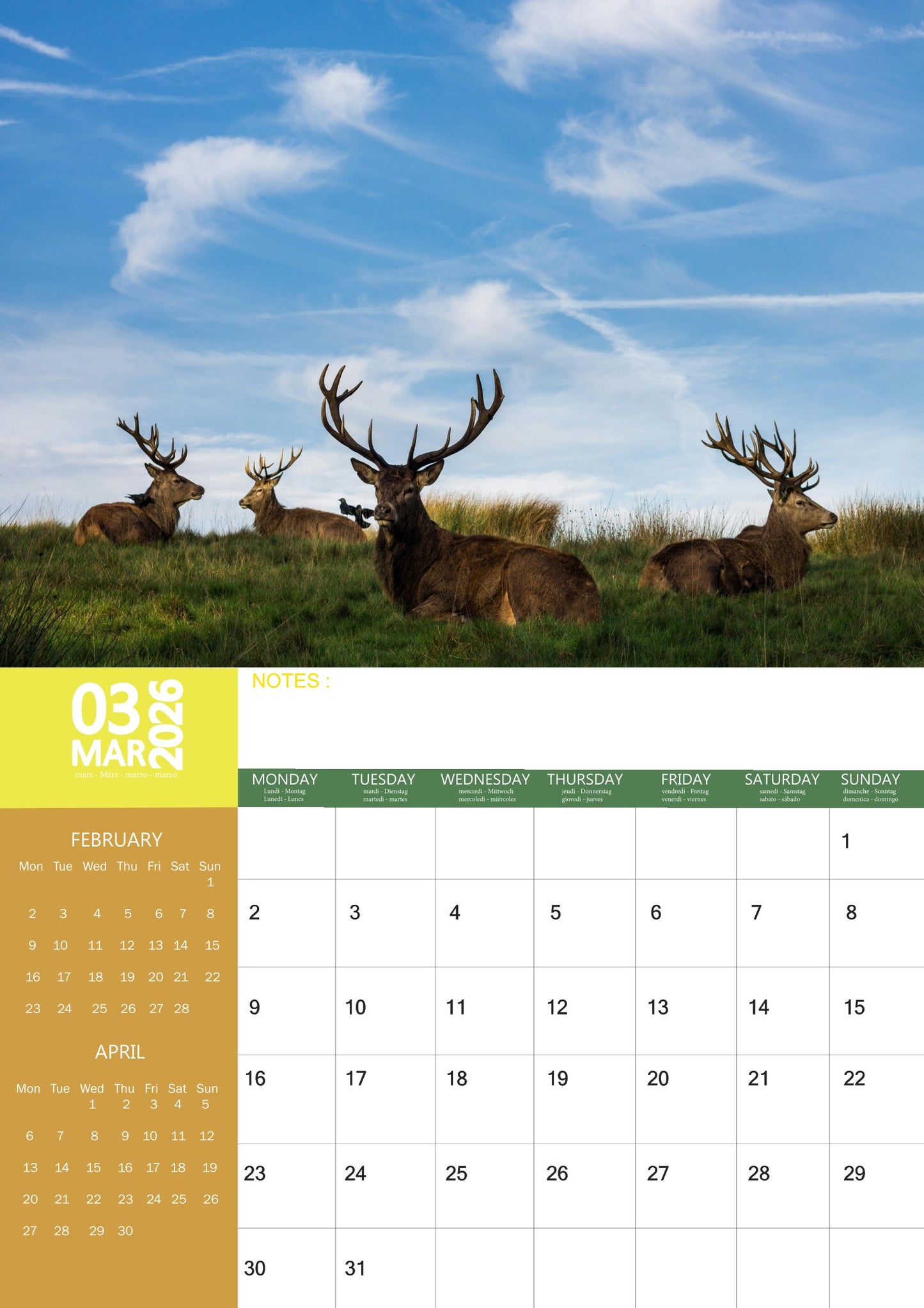 British Wildlife Calendar 2026 – M-PRA Range