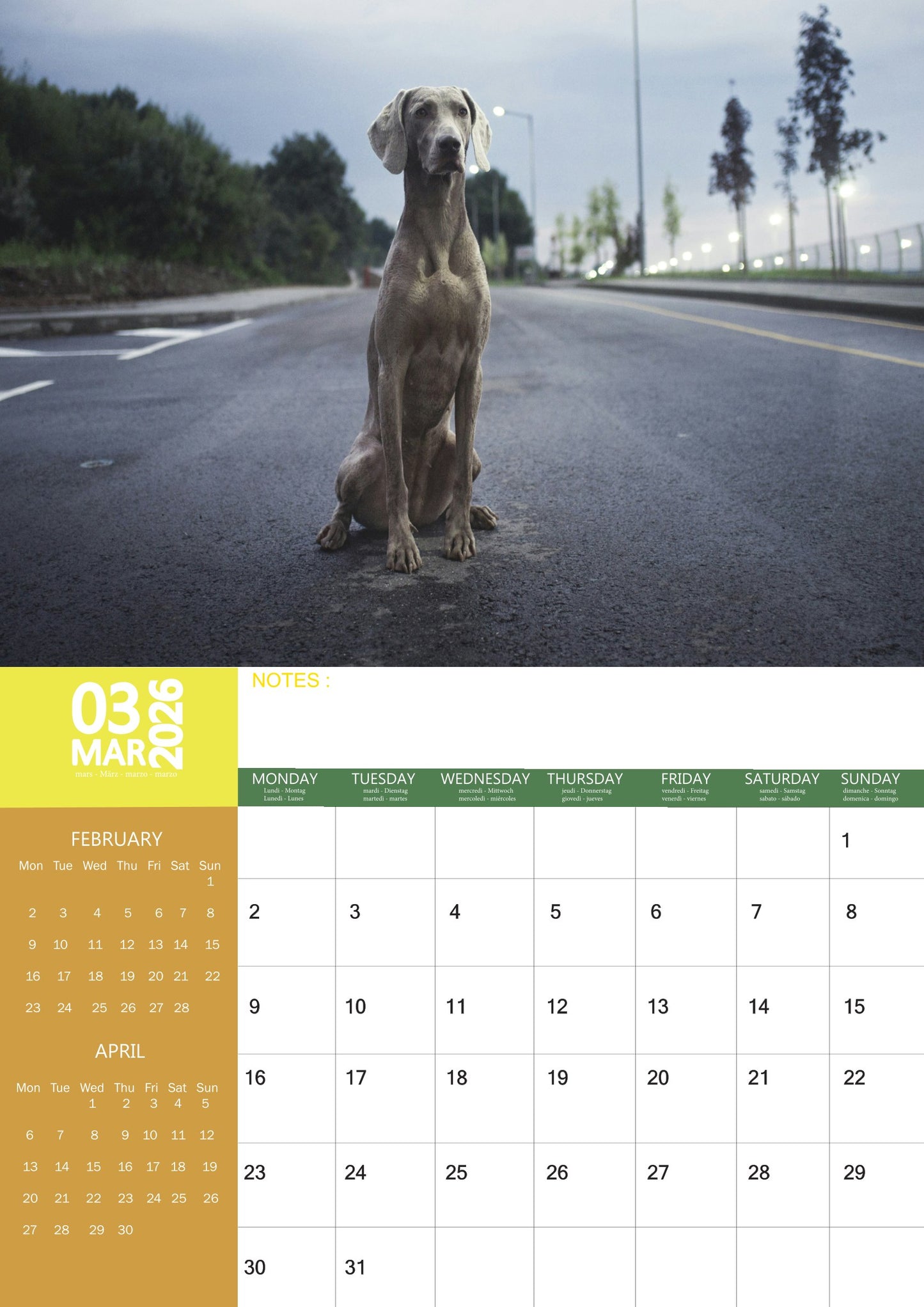 Weimaraner Dog Calendar 2026 – M-PRA Range