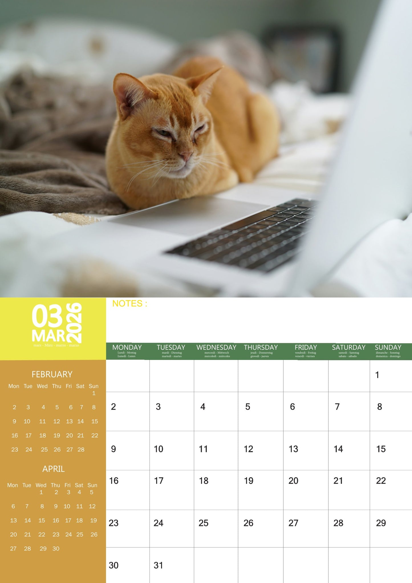 Burmese Cats Calendar 2026 – M-PRA Range