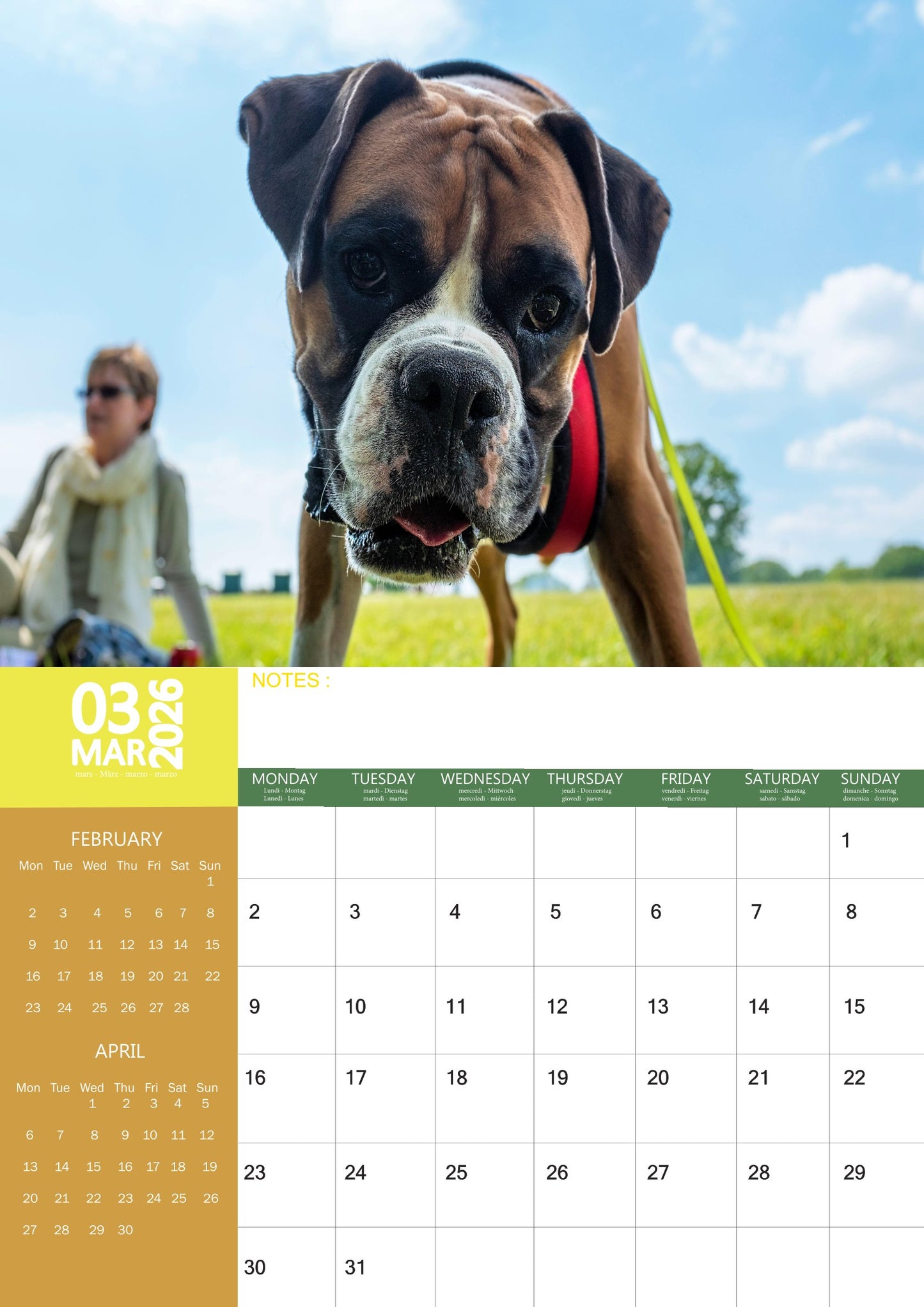 Boxer Dog Calendar 2026 – M-PRA Range