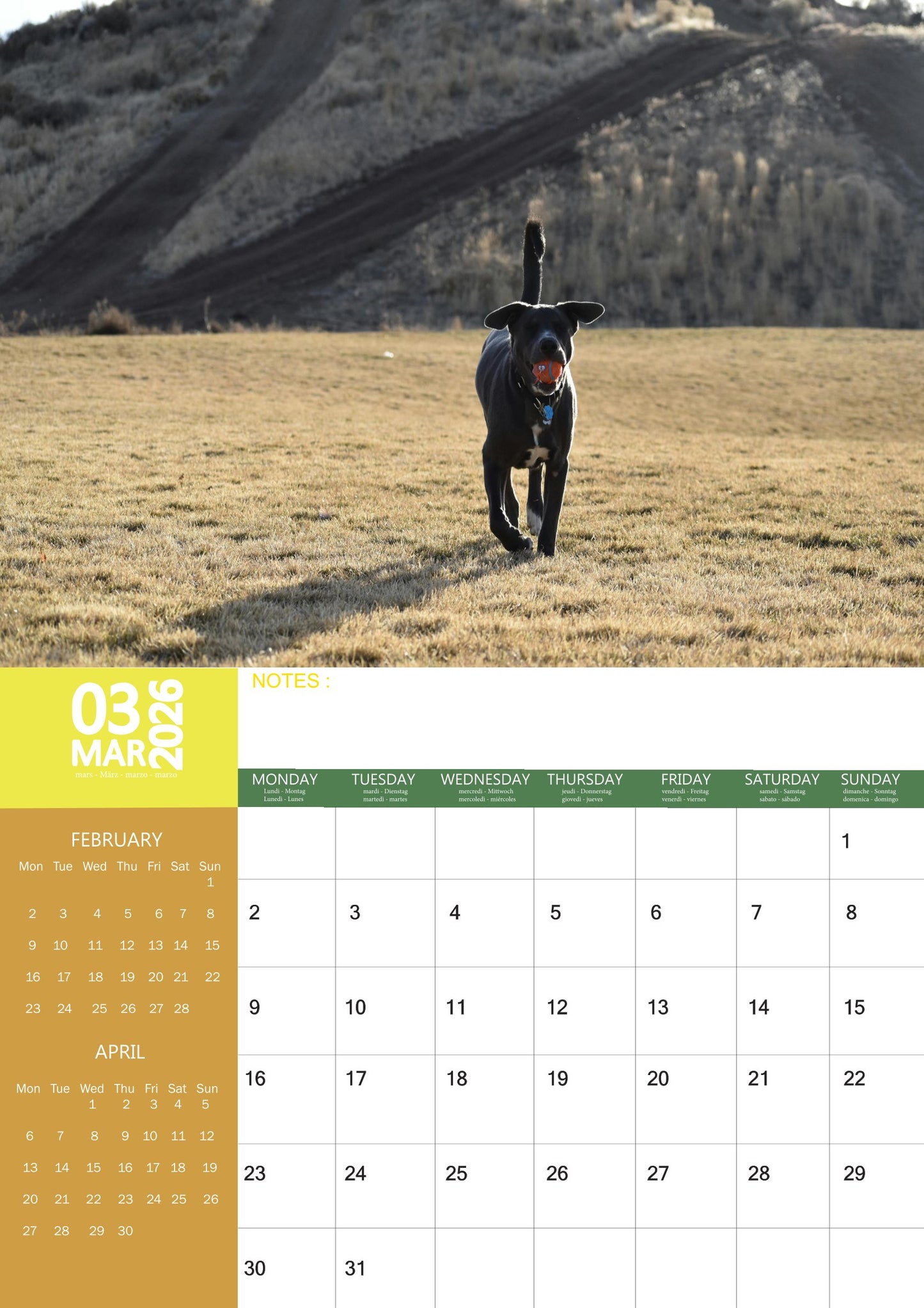 Labrador Retriever Black Dog Calendar 2026 – M-PRA Range