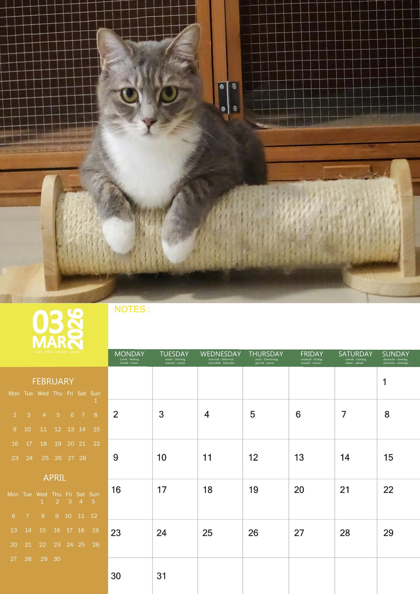 Cats Calendar 2026 – M-PRA Range