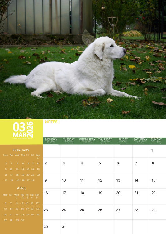 Great Pyrenees Dog Calendar 2026 – M-PRA Range