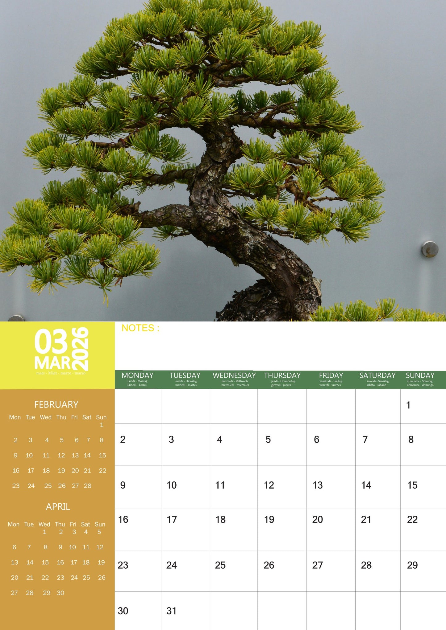 Bonsai Art Calendar 2026 – M-PRA Range
