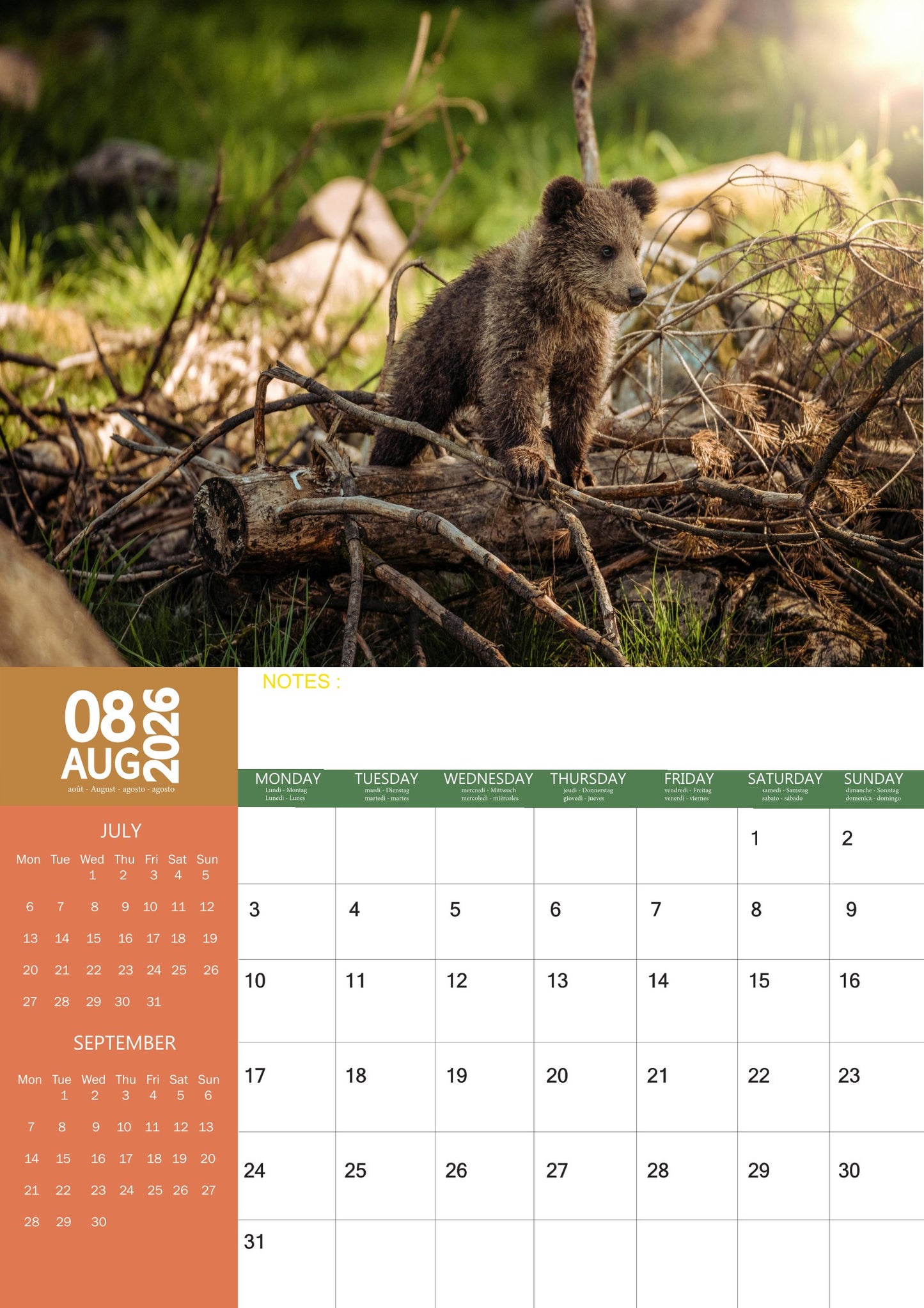 Bear Calendar 2026 – M-PRA Range