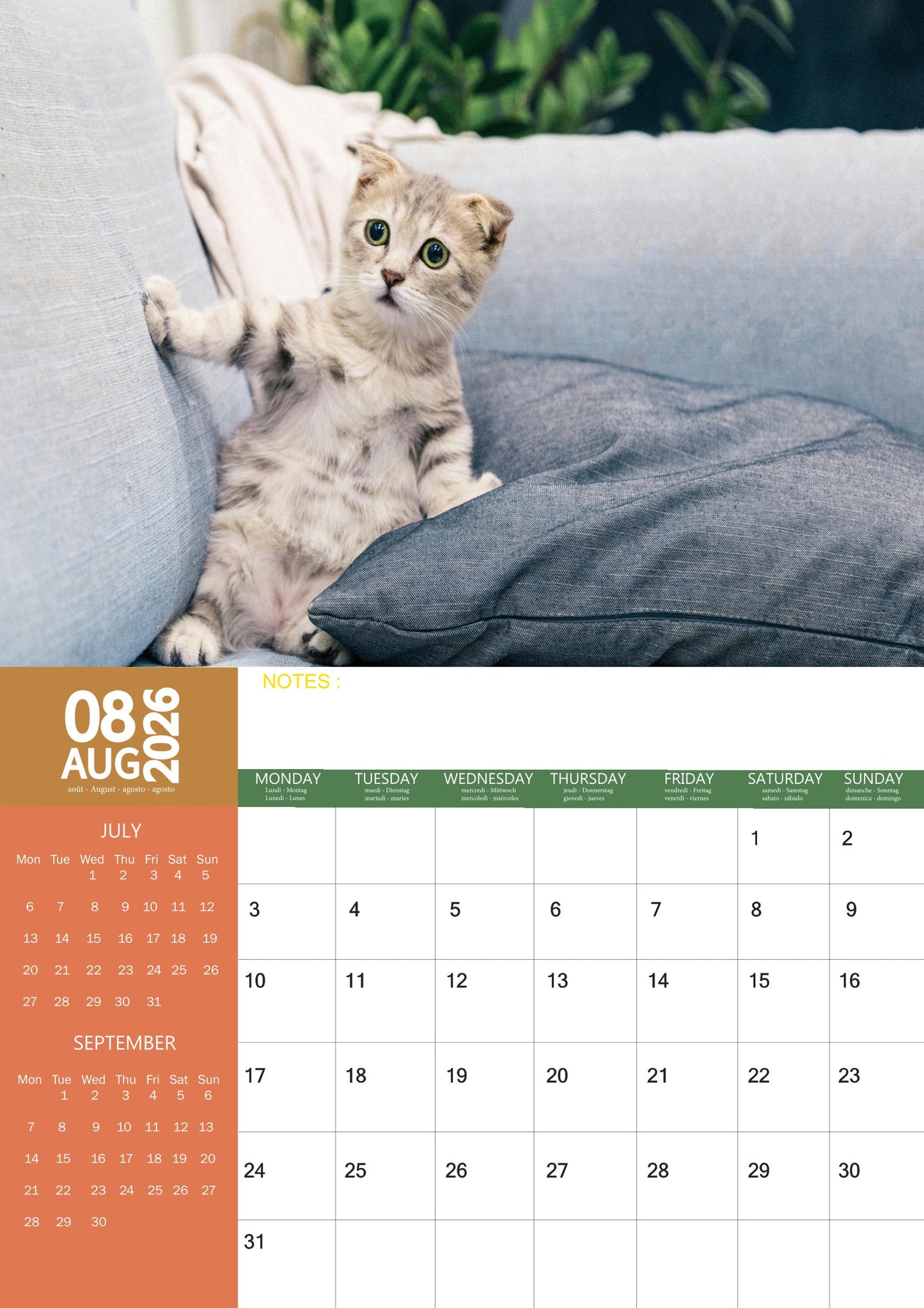 Cats Calendar 2026 – M-PRA Range