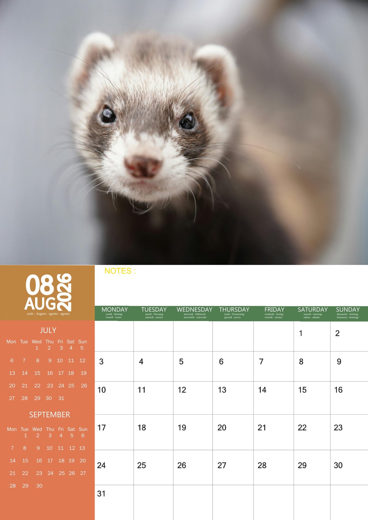 Ferrets Calendar 2026 – M-PRA Range