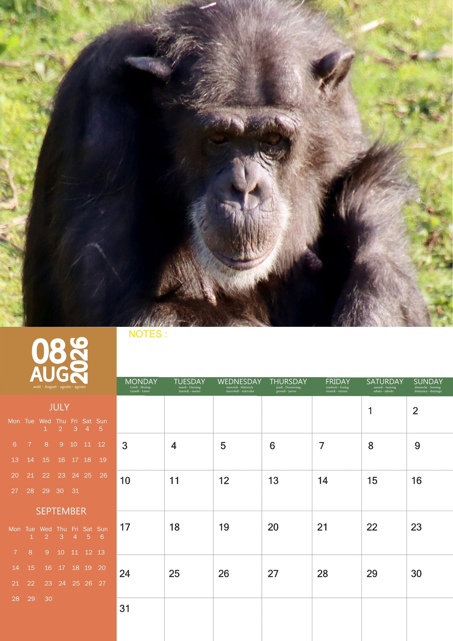 Apes Calendar 2026 – M-PRA Range