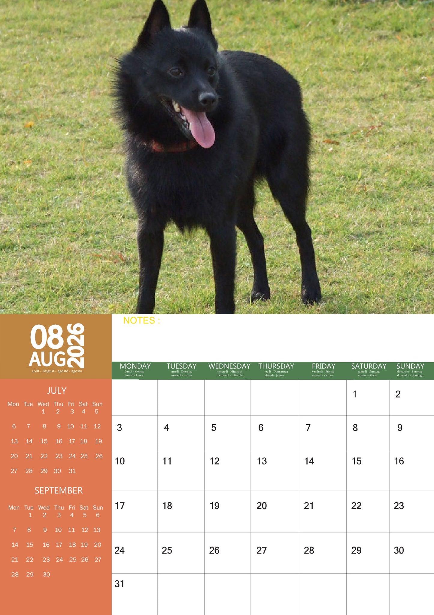 Schipperke Dog Calendar 2026 – M-PRA Range