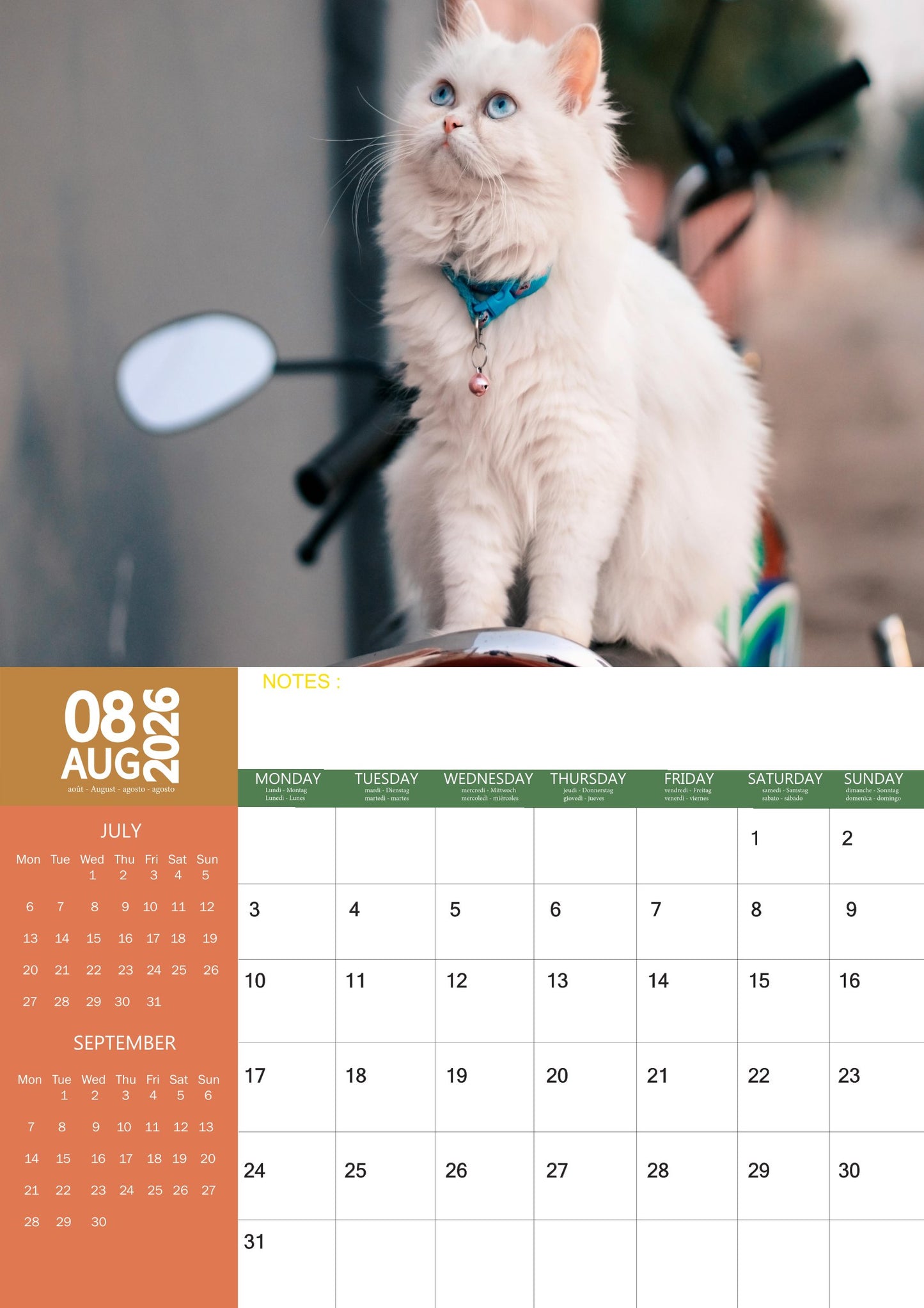 Persian Cat Calendar 2026 – M-PRA Range