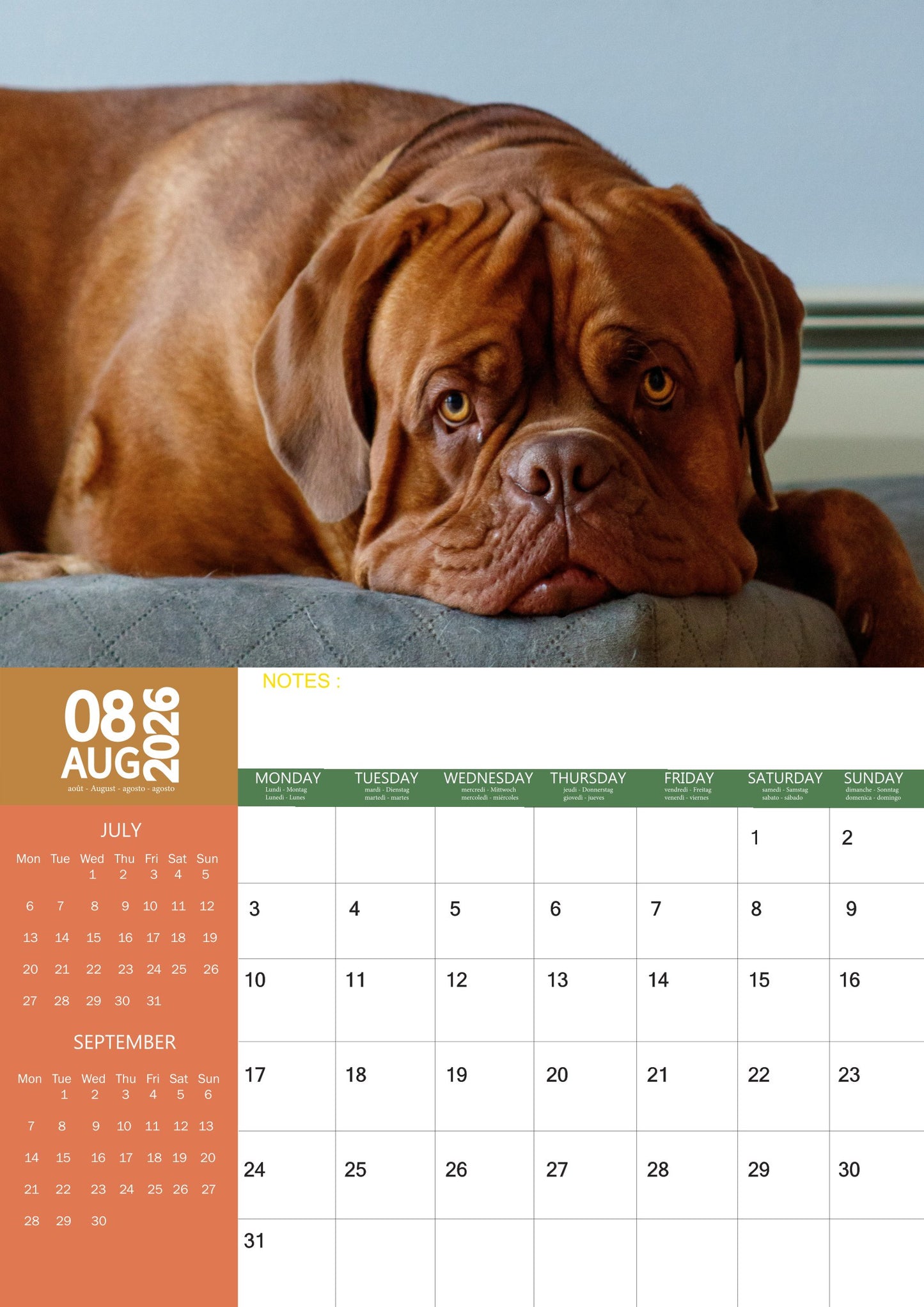 Dogue De Bordeaux Dog Calendar 2026 – M-PRA Range