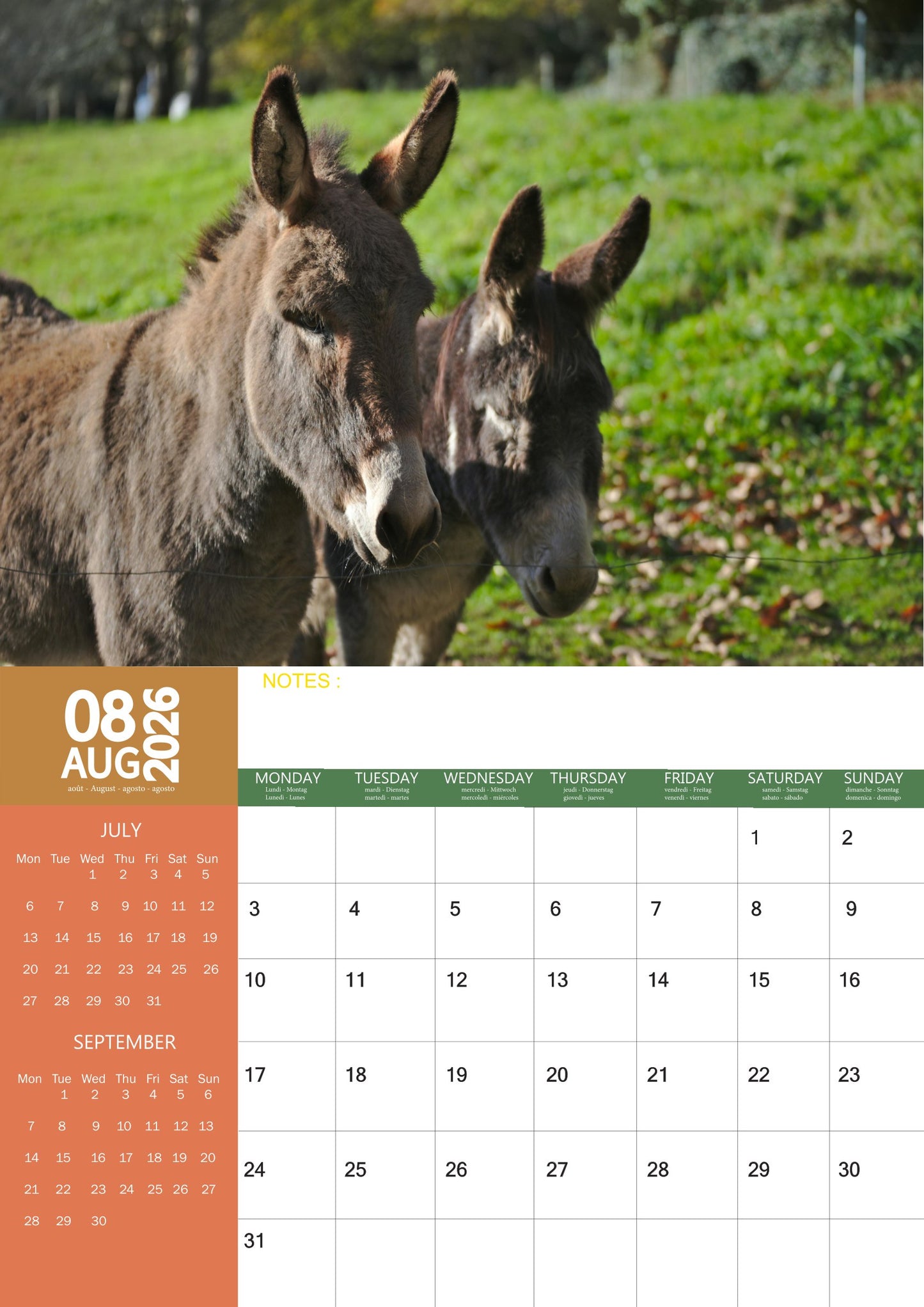 Donkey Calendar 2026 – M-PRA Range