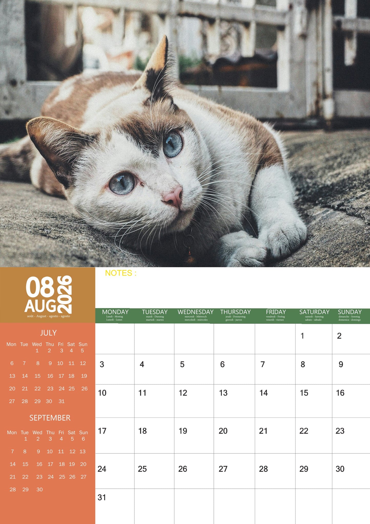 Burmese Cats Calendar 2026 – M-PRA Range
