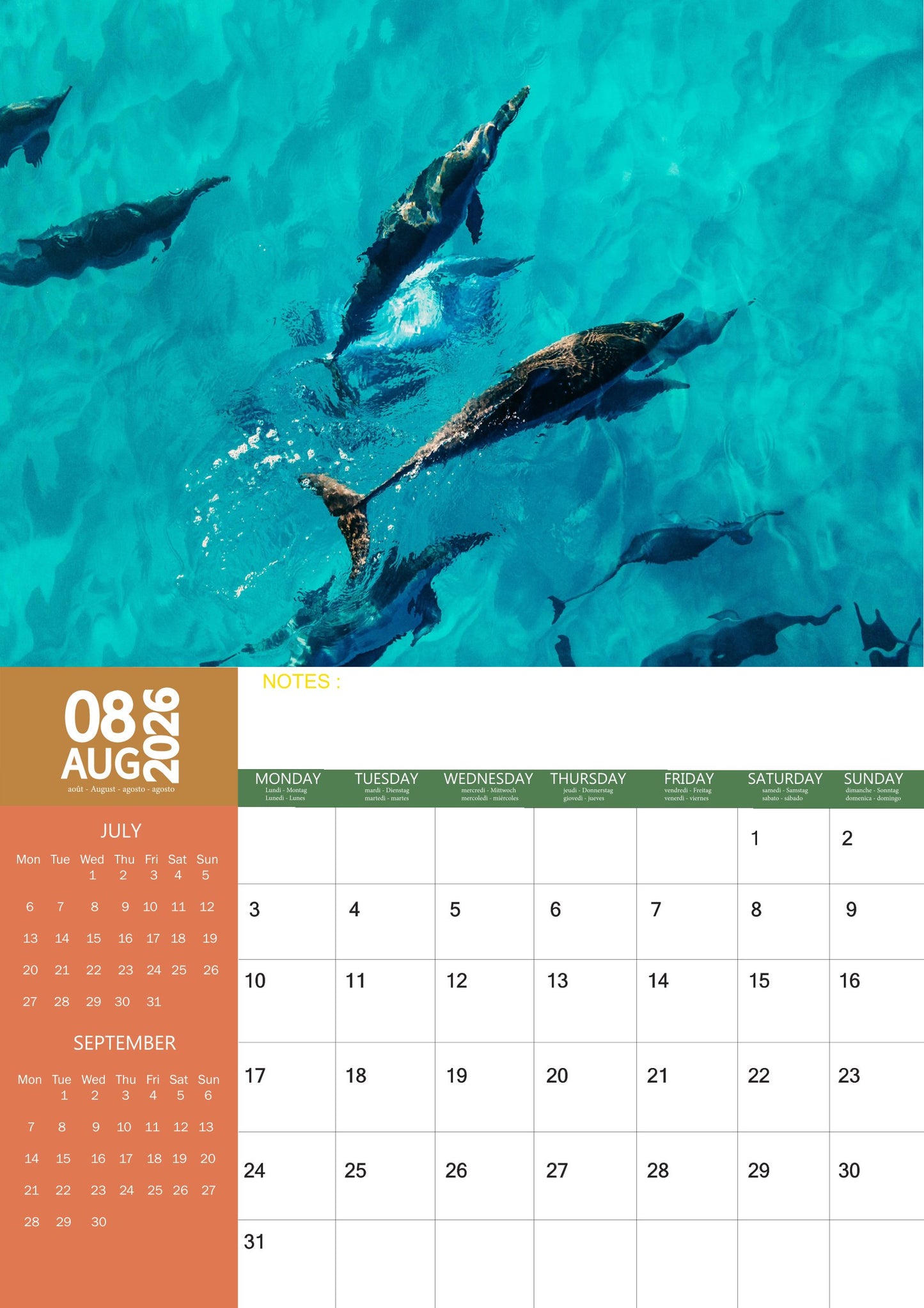 Dolphin Calendar 2026 – M-PRA Range