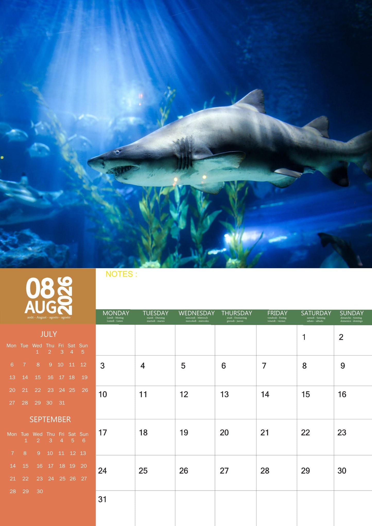 Sharks Calendar 2026 – M-PRA Range