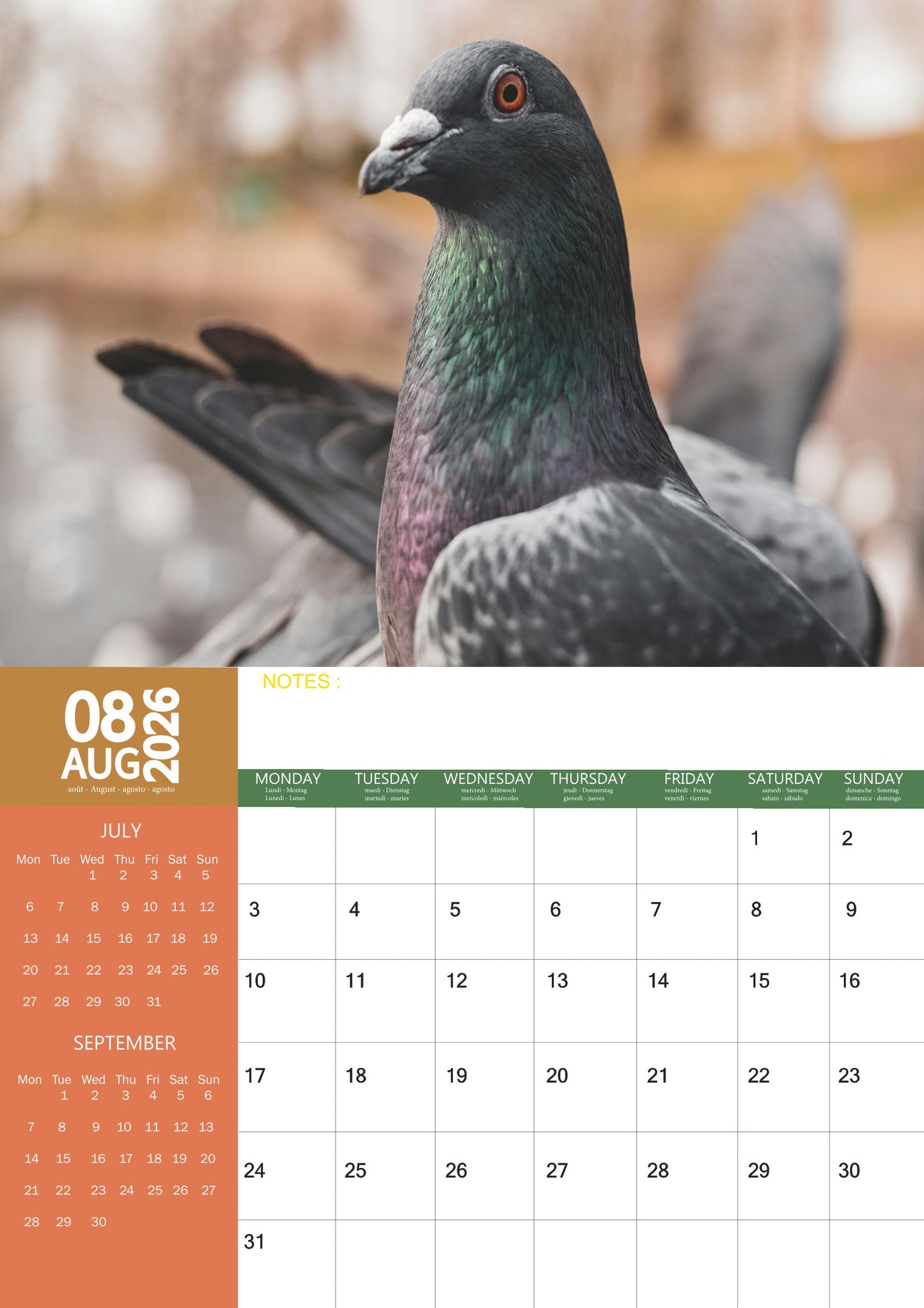 Pigeons Calendar 2026 – M-PRA Range