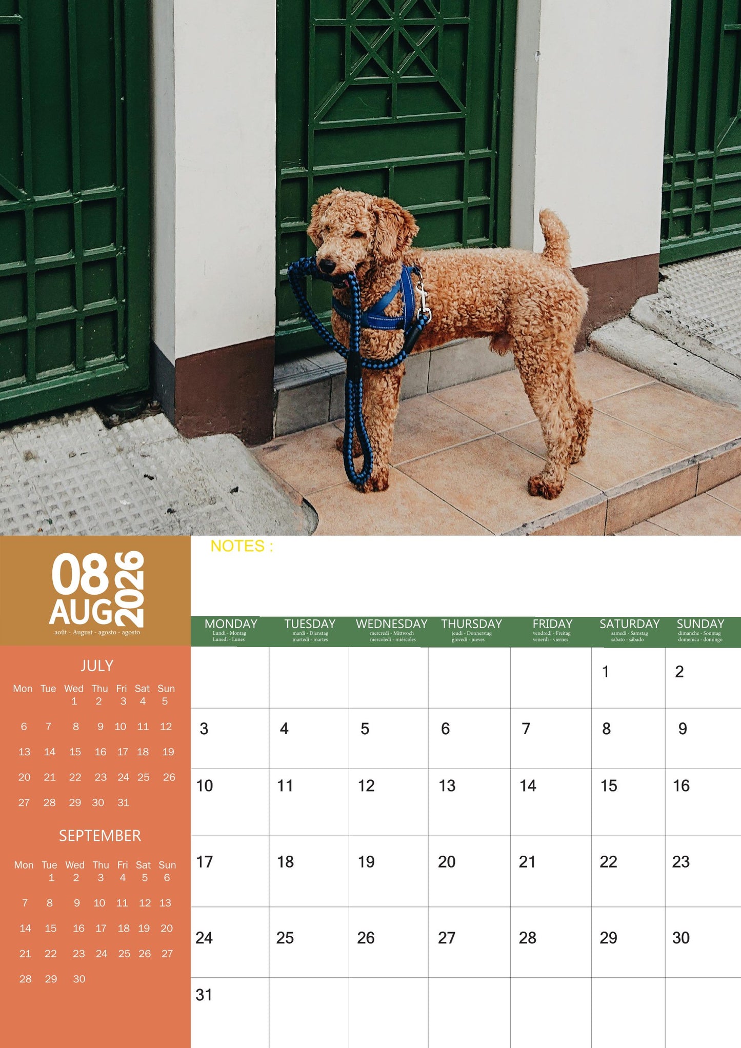 Poodle Dog Calendar 2026 – M-PRA Range