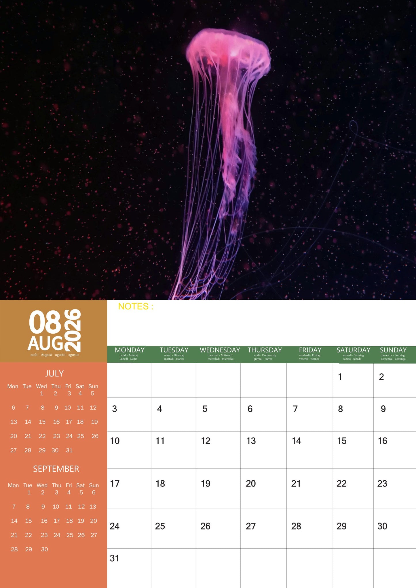 Jellyfish Calendar 2026 – M-PRA Range