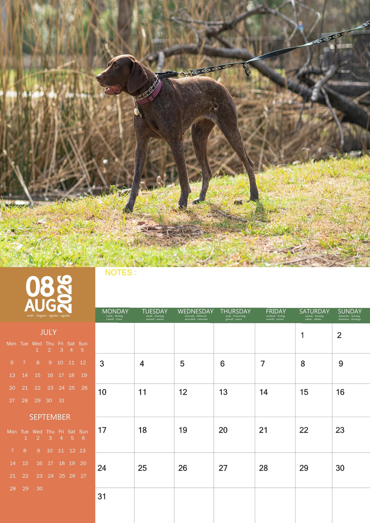 German Shorthaired Dog Calendar 2026 – M-PRA Range