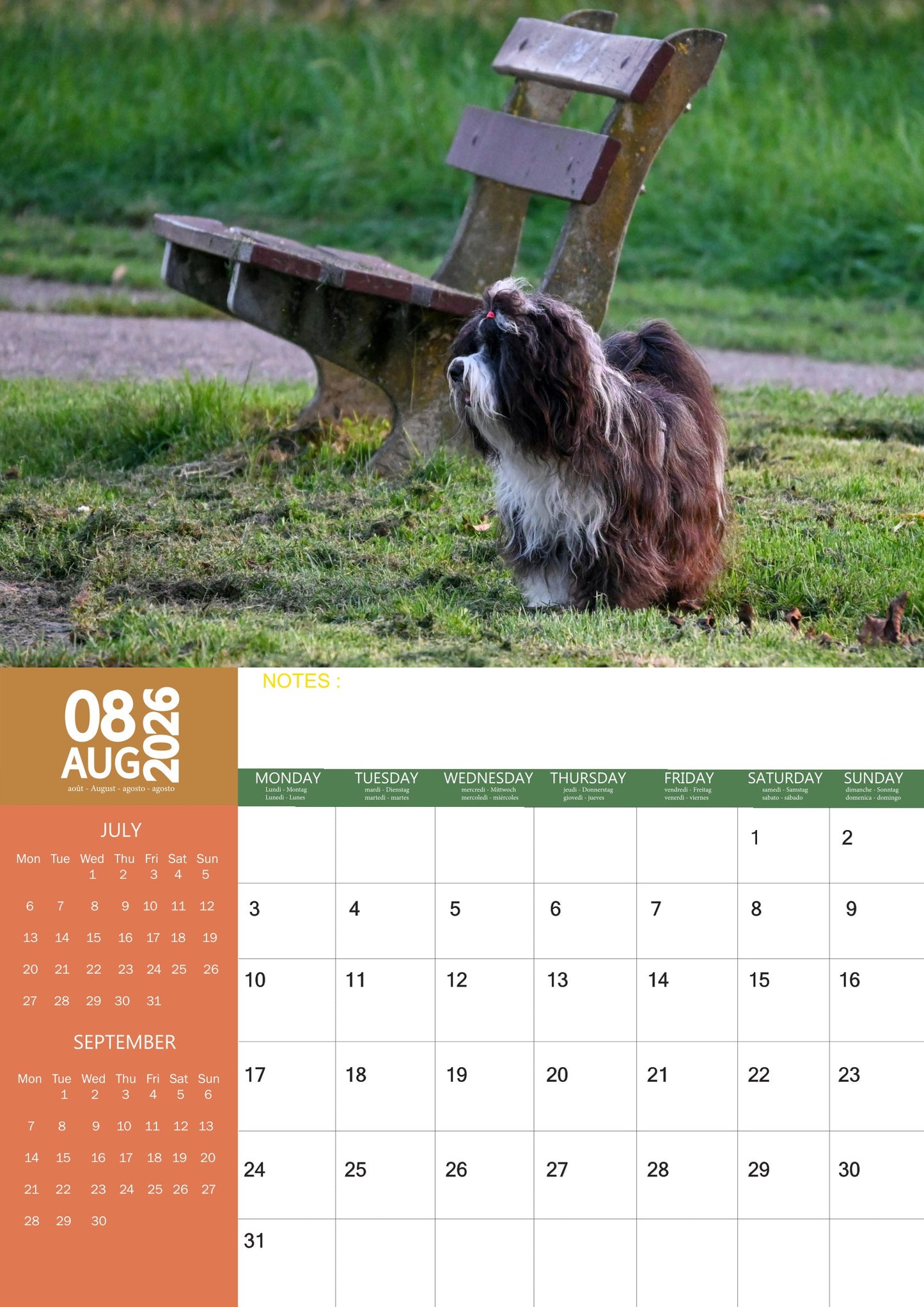 Tibetan Terrier Dog Calendar 2026 – M-PRA Range