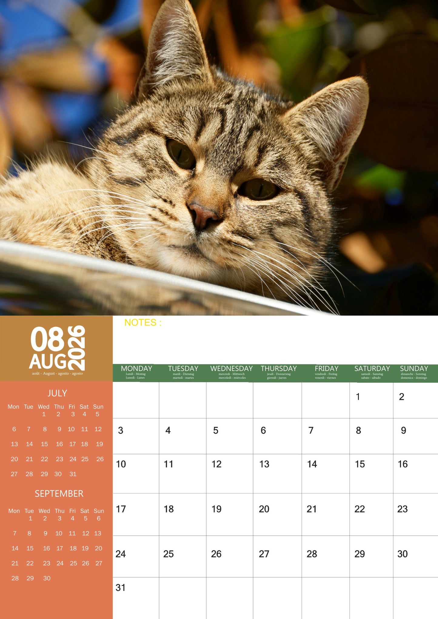 Tabby Cat Calendar 2026 – M-PRA Range