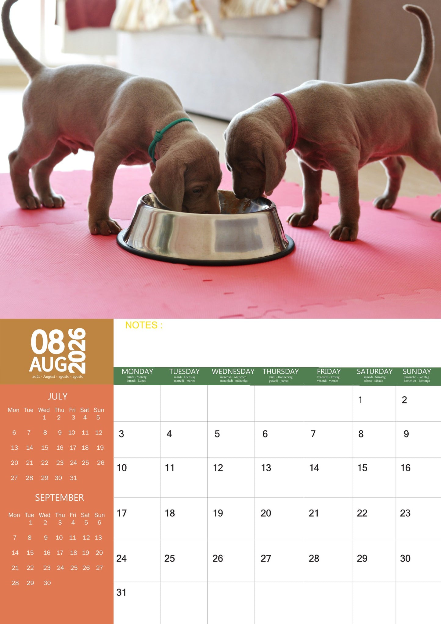 Weimaraner Dog Calendar 2026 – M-PRA Range