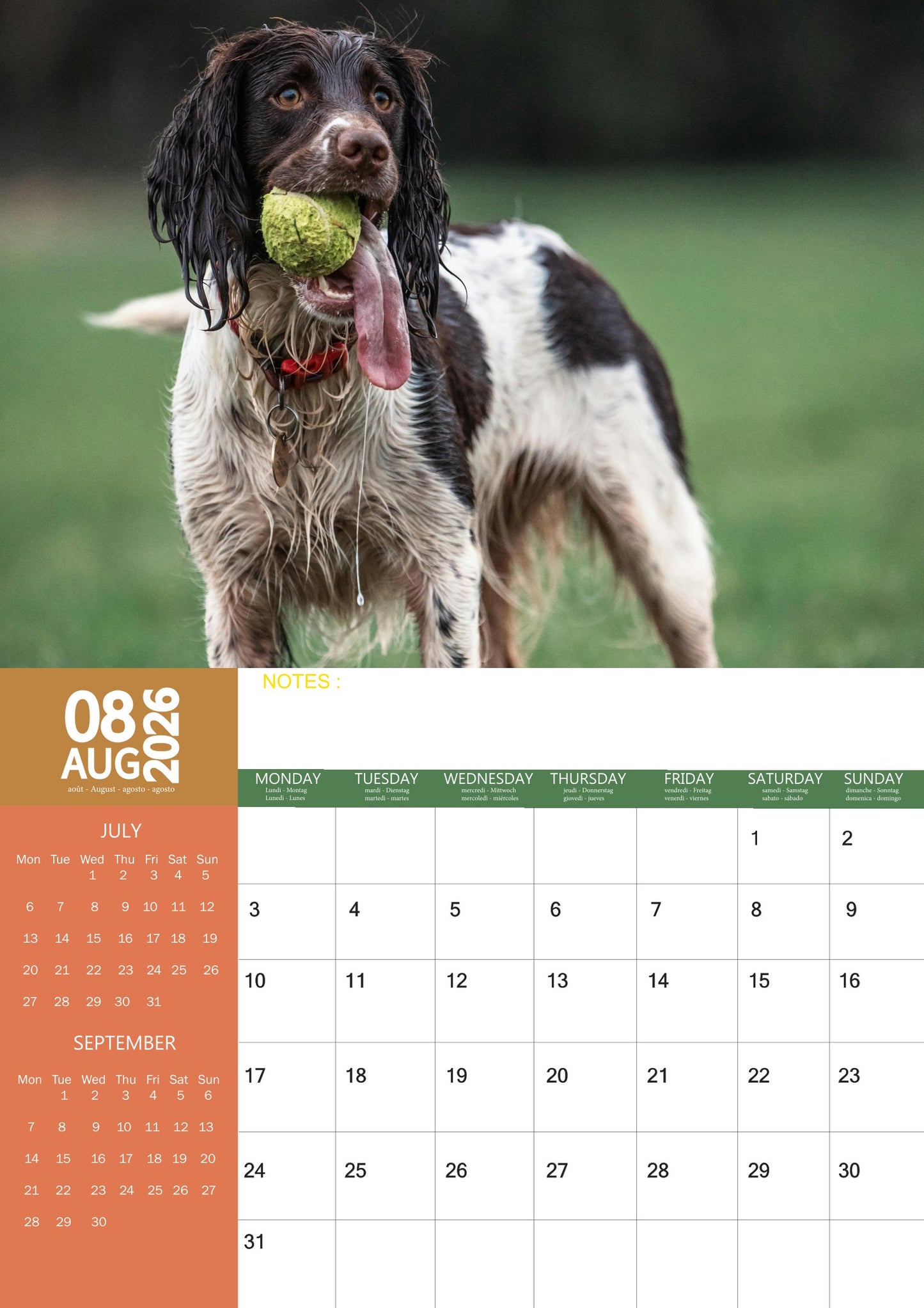 English Springer Spaniel Dog Calendar 2026 – M-PRA Range